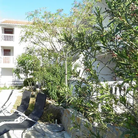 Zen ماسلينتسا