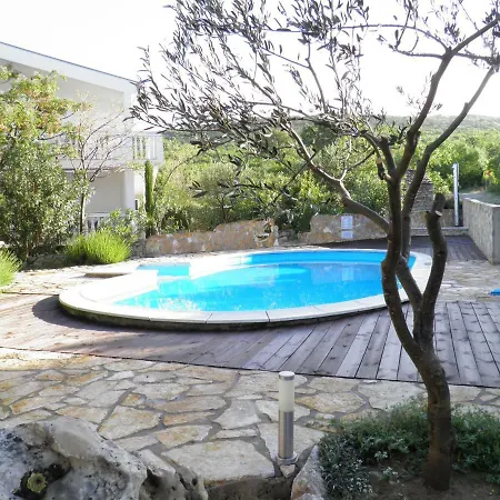 Zen * ماسلينتسا