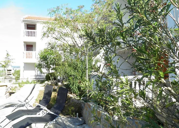 Zen Масленица