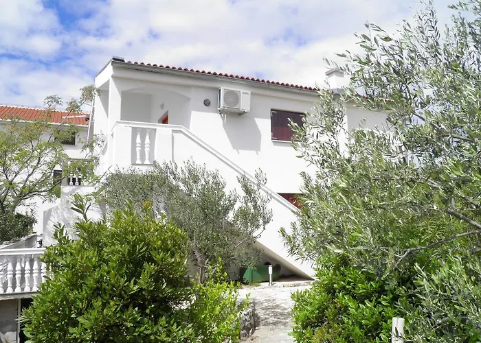 Zen Масленица